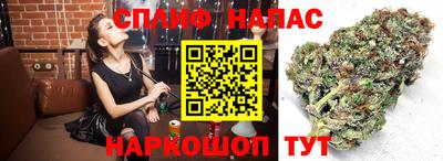 гидропоника Отрадный