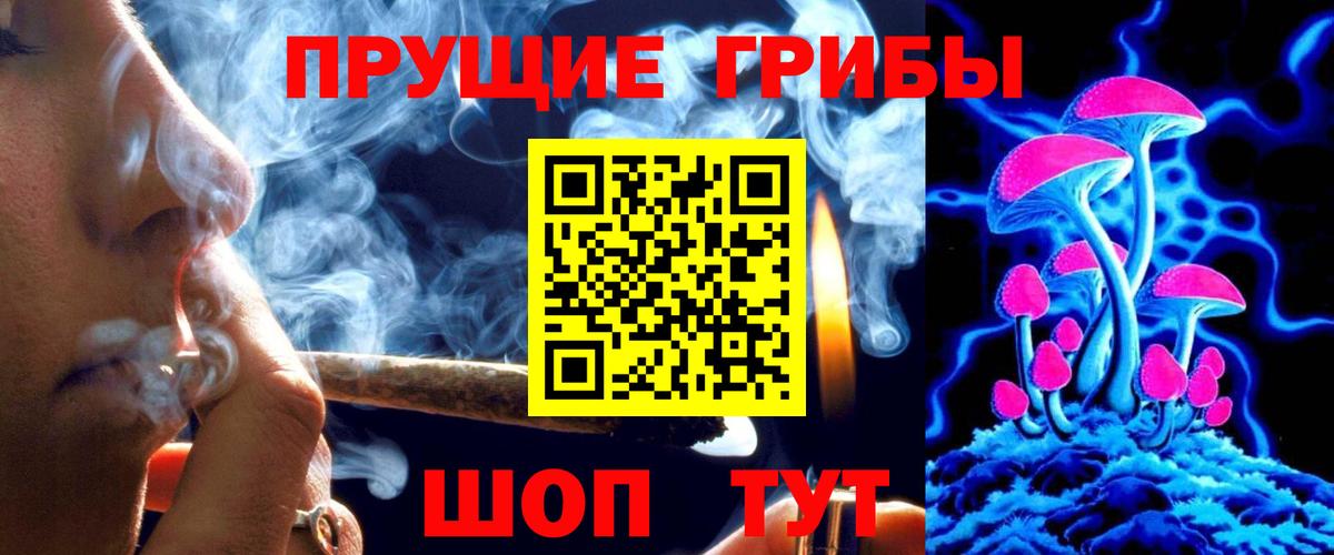 Псилоцибиновые грибы прущие грибы  Вход с VPN  Кувандык  Псилоцибиновые грибы мухоморы 